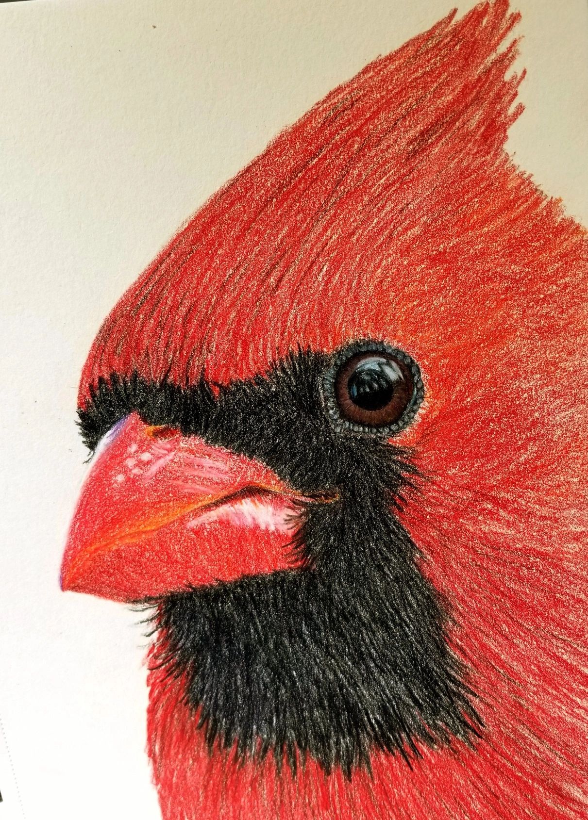 Experience the Creative Vision of our Original Paintings, image 4